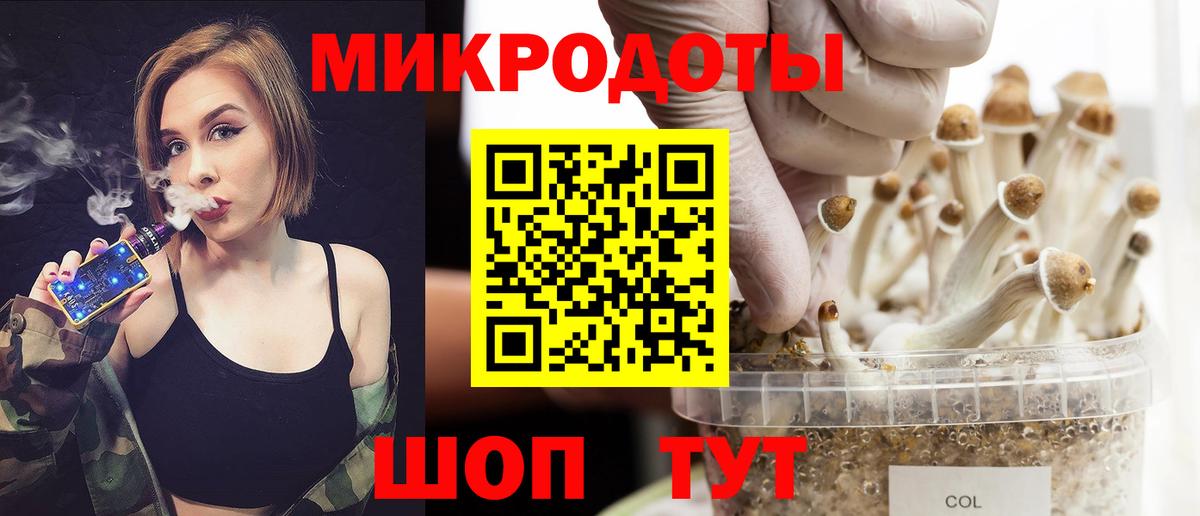 Псилоцибиновые грибы Psilocybe  магазин продажи наркотиков  Вход с VPN  Менделеевск  Псилоцибиновые грибы Psilocybine cubensis 