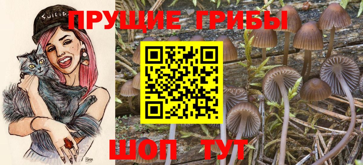 Галлюциногенные грибы Magic Shrooms Менделеевск